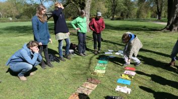 Teilnehmende einer Fortbildung zum Thema Baum stehen um bunte Farbkarten mit gesammelten Naturmaterialien