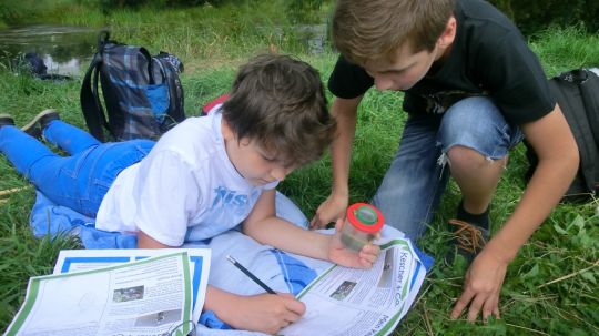 Kinder untersuchen Wassertierchen mit der Becherlupe